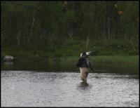 Bifogad bild: norge2010augusti686.jpg